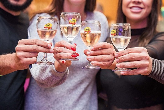 Festiqueijo - Foto 3