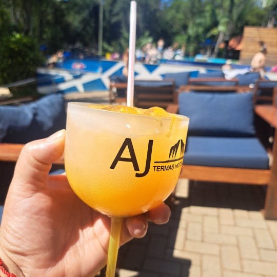 Termas de Irai - All Inclusive - Foto 6