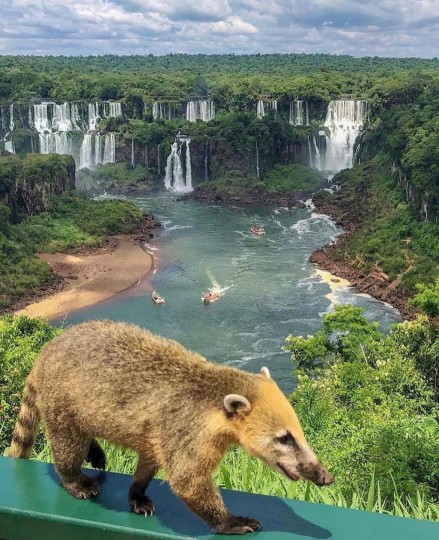 Foz do Iguaçu - Foto 1